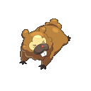 Bidoof