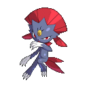 Weavile